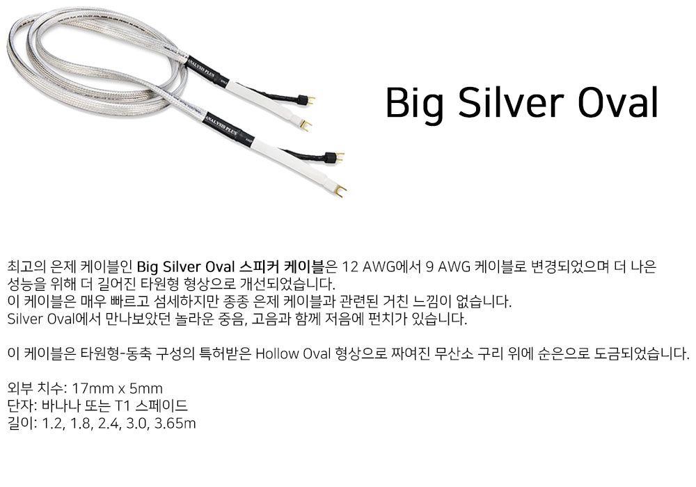 big_silver_oval_spk.jpg