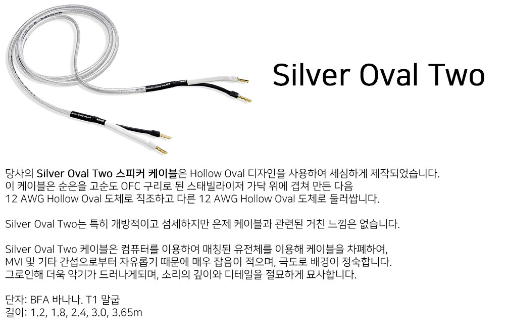 silver_oval_two_spk.jpg
